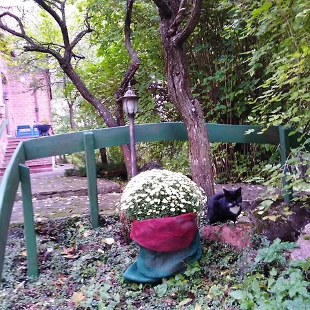 Séjour chez l'habitant Alte Schule Am