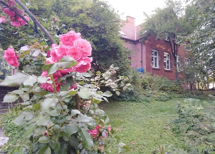 בית אירוח Alte Schule Am *