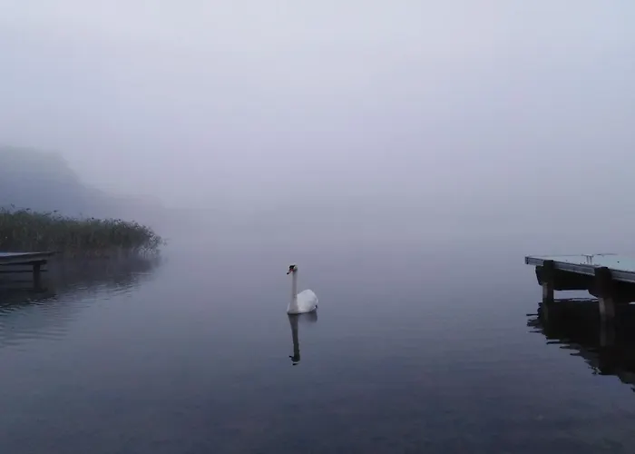 Alte Schule Am * ביסקופייש