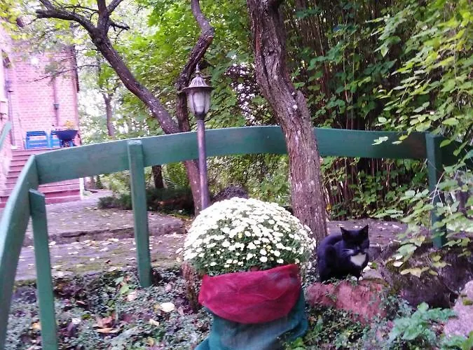 בית אירוח Alte Schule Am